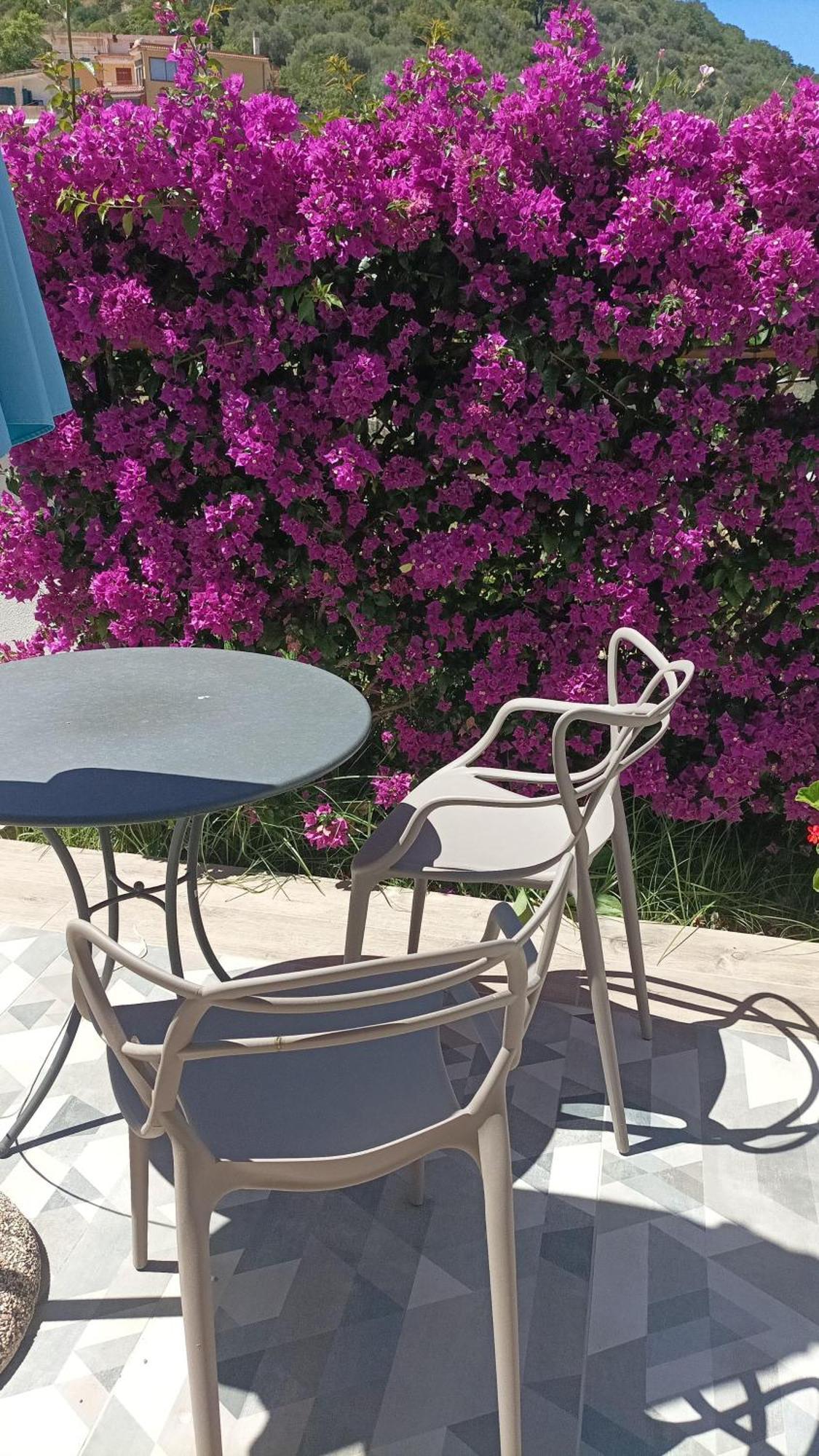 Laris Bed & Breakfast Castellabate Dış mekan fotoğraf