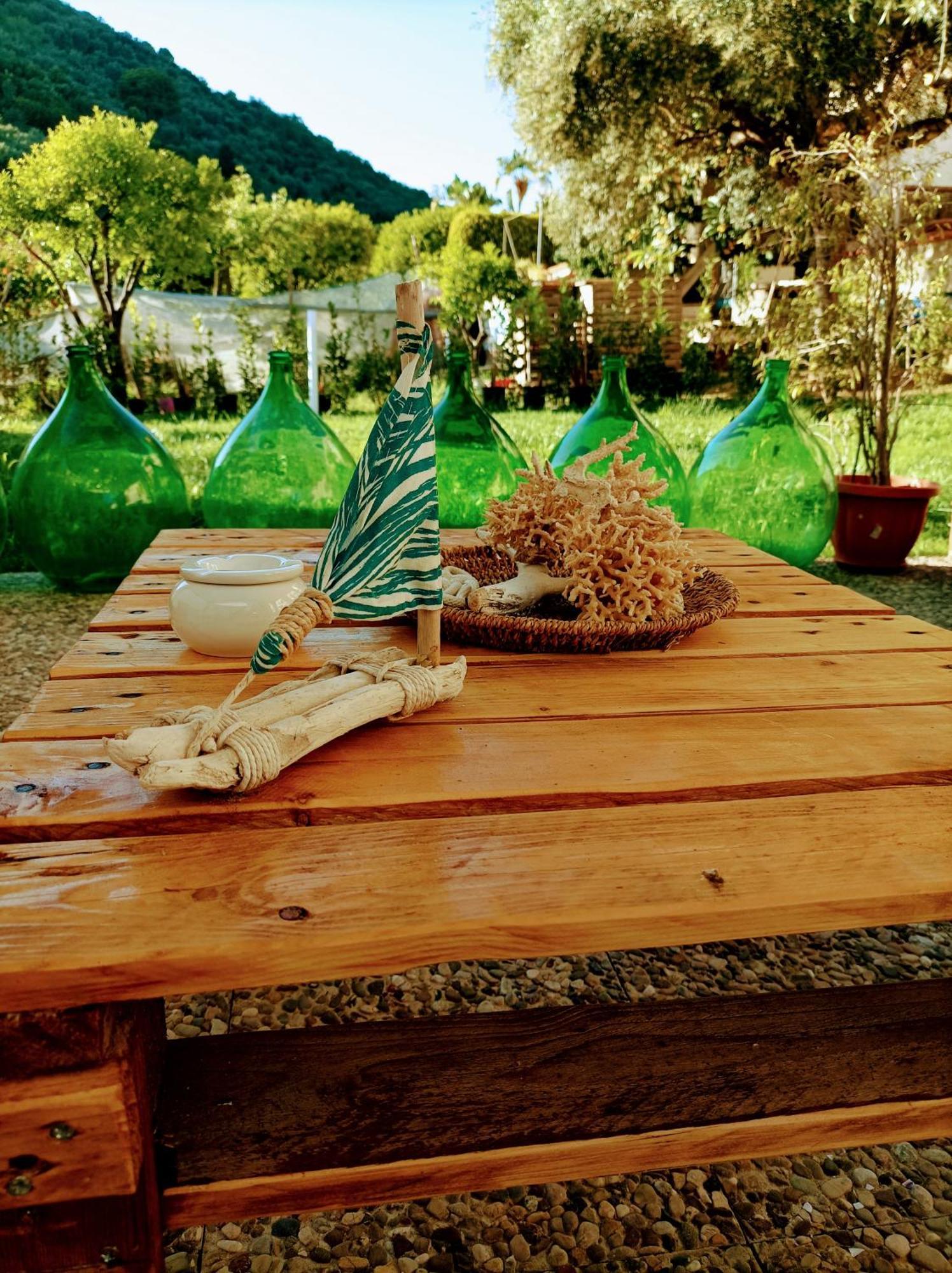 Laris Bed & Breakfast Castellabate Dış mekan fotoğraf
